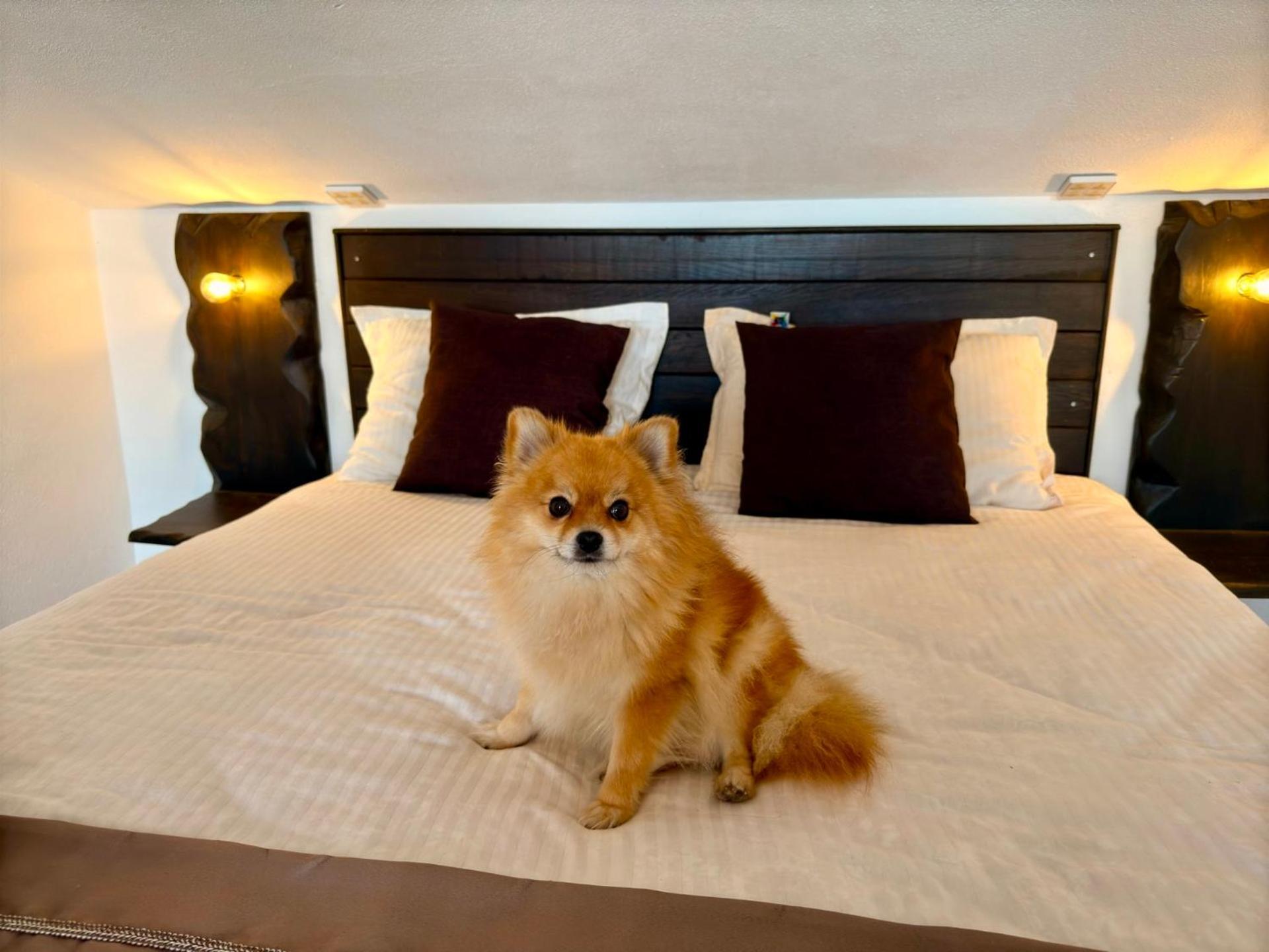 Arthotel Oscar I Süzebolu Dış mekan fotoğraf