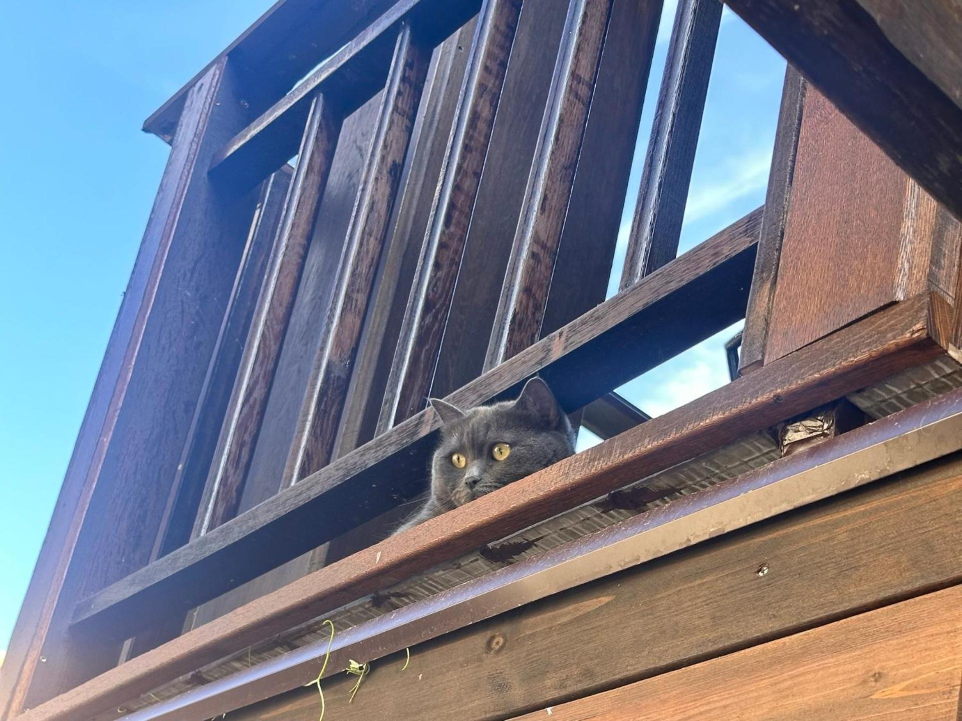 Arthotel Oscar I Süzebolu Dış mekan fotoğraf